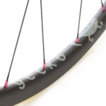 Gecko carbon gravel wheels with pink Sapim nipples