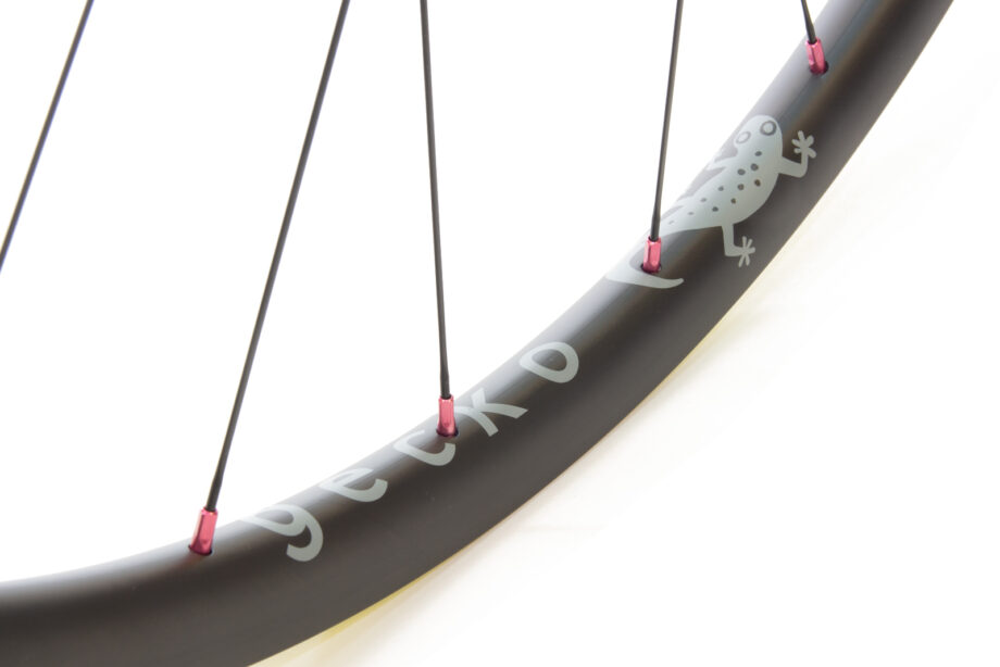 Gecko carbon gravel wheels with pink Sapim nipples