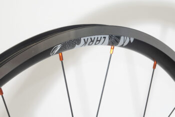 lark_SP_orange_rim_lark