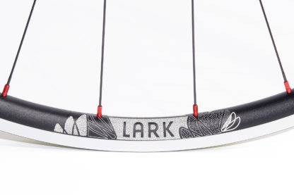 Lark Light straight-pull wheels