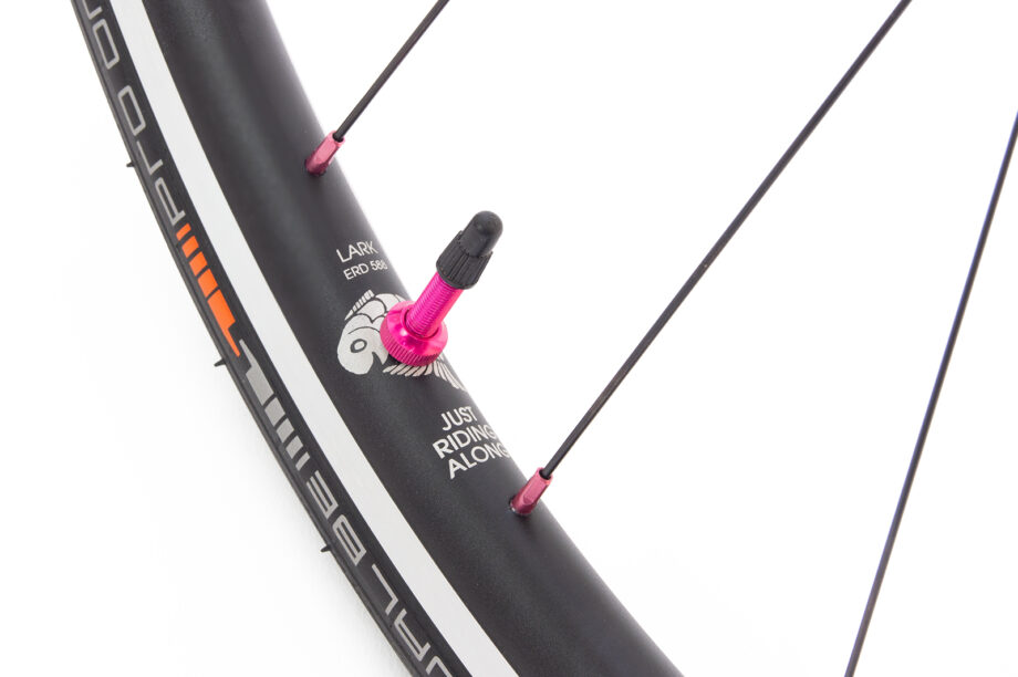 Lark Light rim with etched design and pink valve and spoke nipples