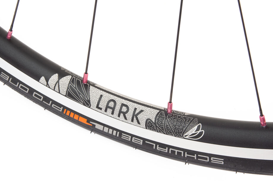 Lark Light rim with etched design and pink spoke nipples