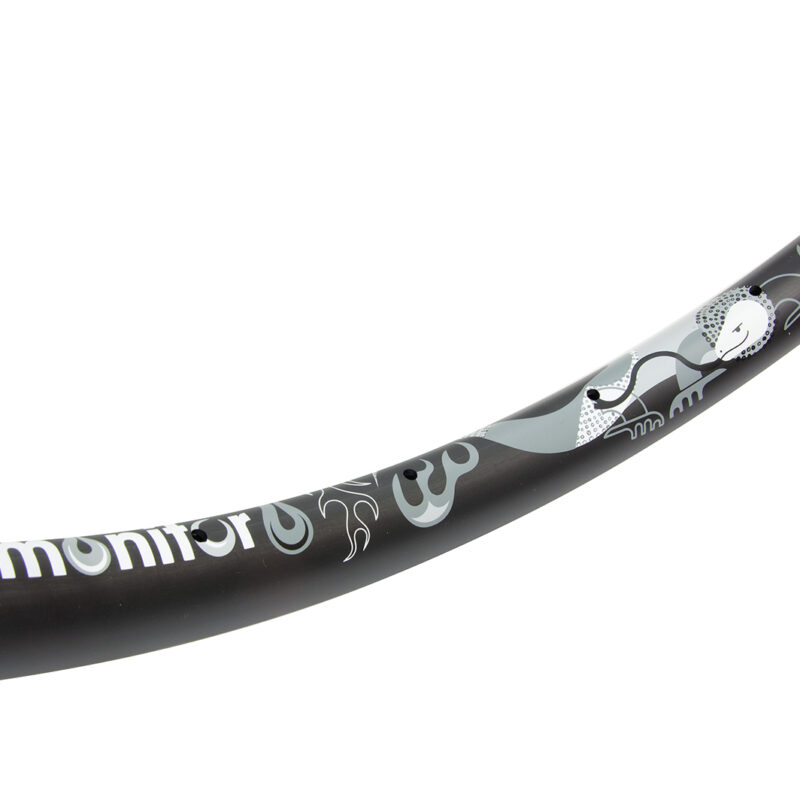 Monochrome carbon monitor rim