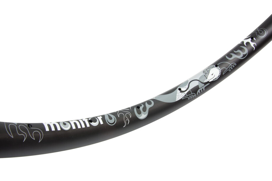 Monochrome carbon monitor rim