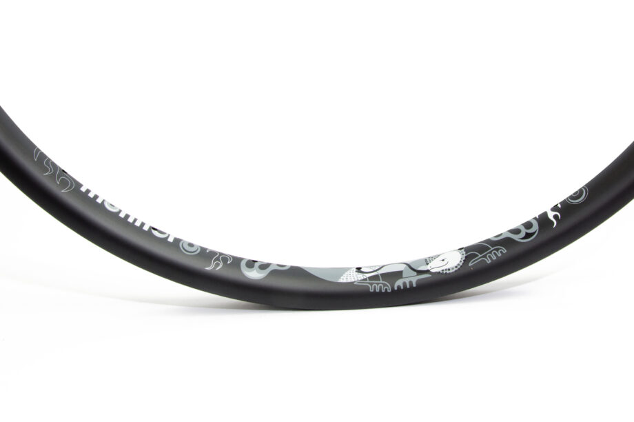 Monochrome carbon monitor rim