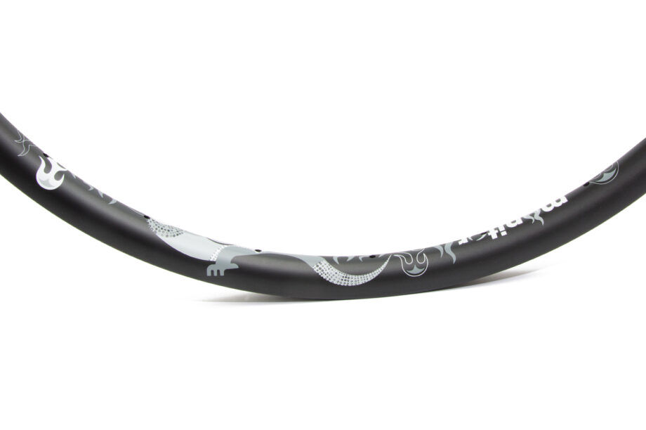 Monochrome carbon monitor rim