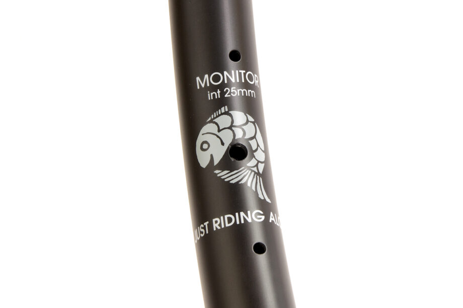 Monochrome carbon monitor rim