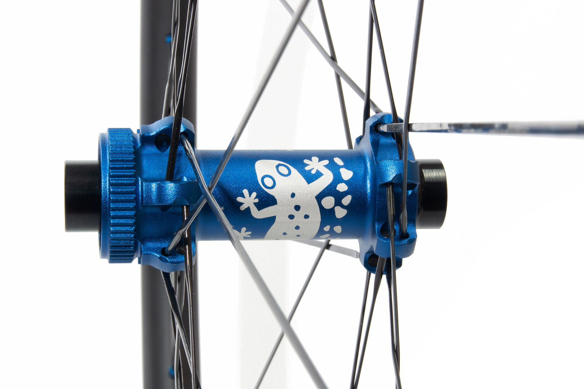 Gecko front wheel with matt blue etched hub