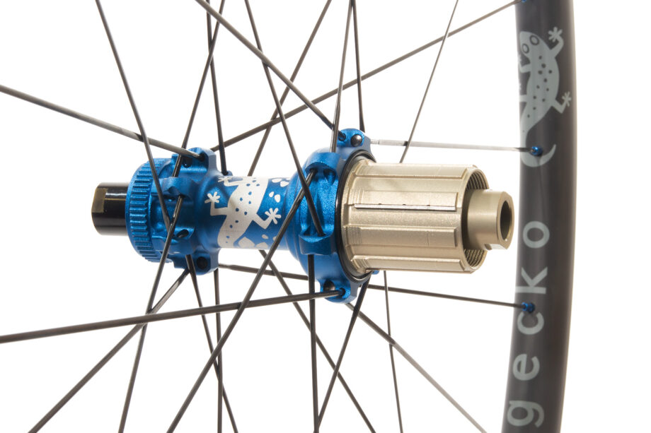 Gecko rear wheel with matt blue etched hub