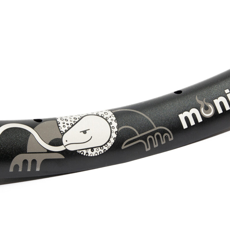 Monitor alu rim with etching