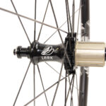 Lark straight-pull rear hub with etched logo