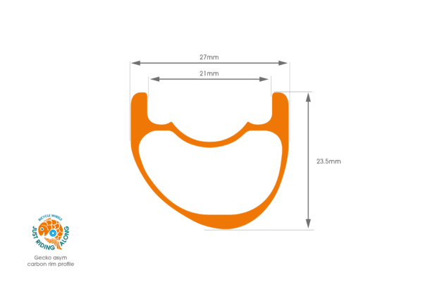 geko_asym_diagramn