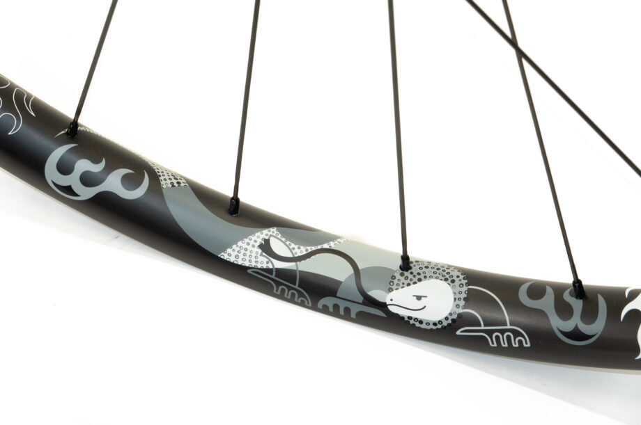 Monitor mk2 carbon wheels